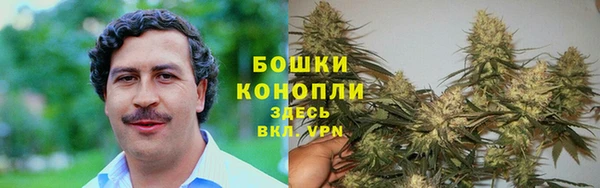ешки Бронницы