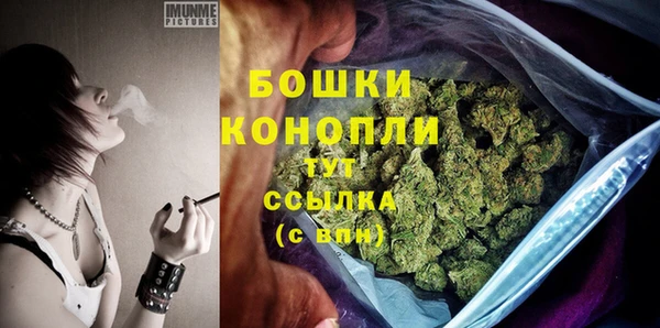 ешки Бронницы