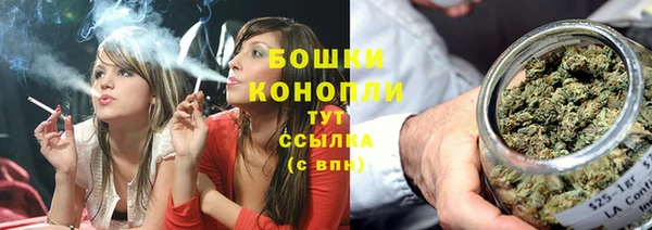 винт Бородино