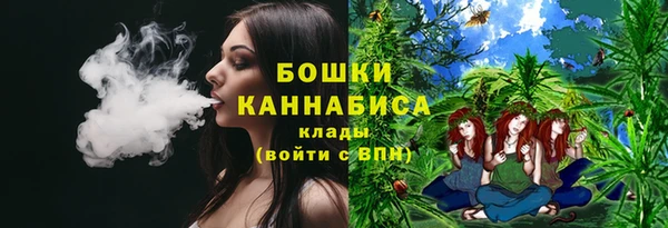 ешки Бронницы