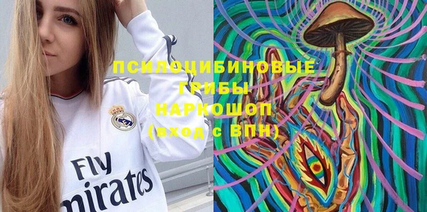 винт Бородино
