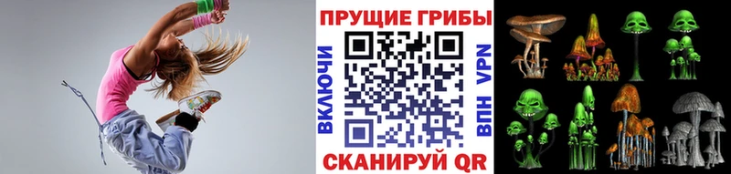 даркнет сайт  Кедровый  Псилоцибиновые грибы Psilocybine cubensis 
